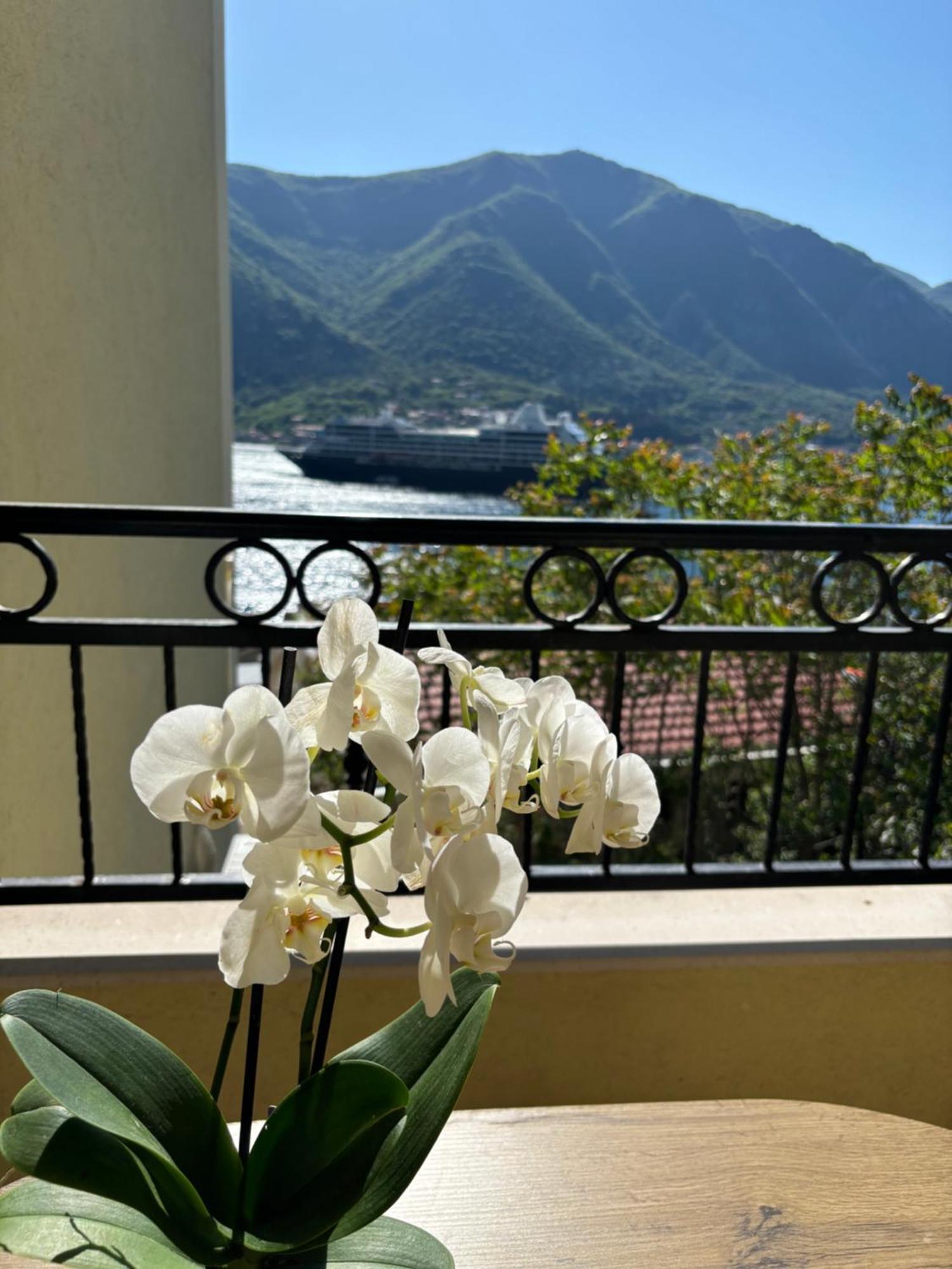 Modern Seaside Apartment With Balcony Tale Apartment Kotor Exterior foto